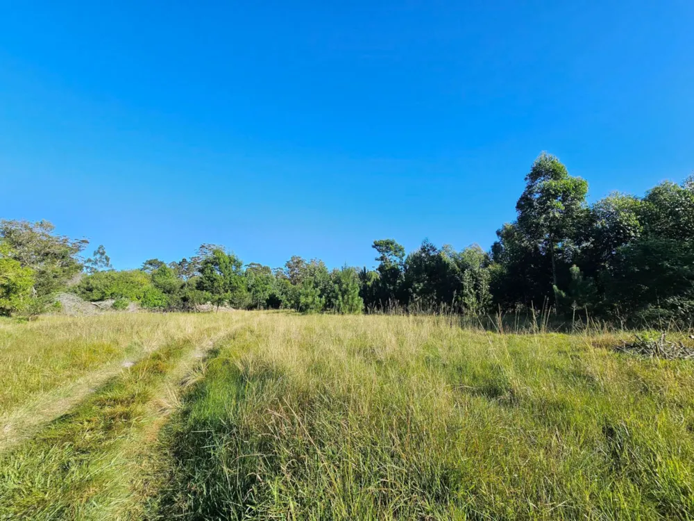 Smallholding for sale in Theescombe - 1PLZ1742448