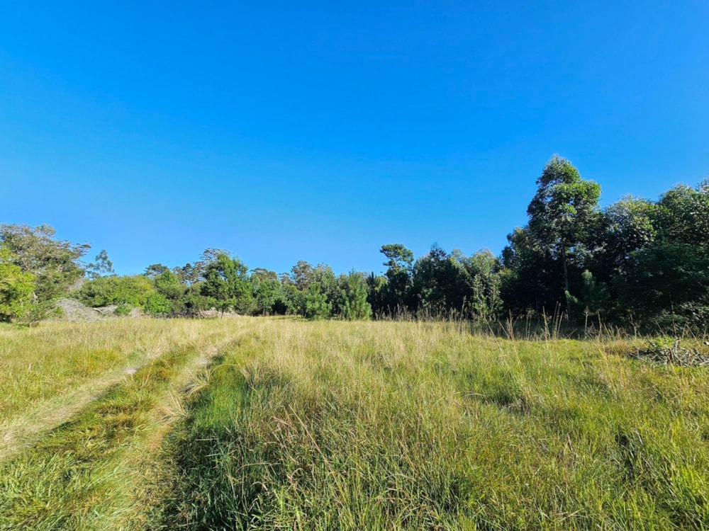 Smallholding for sale in Theescombe - 1PLZ1742448 Smallholding for sale in Theescombe - 1PLZ1742448