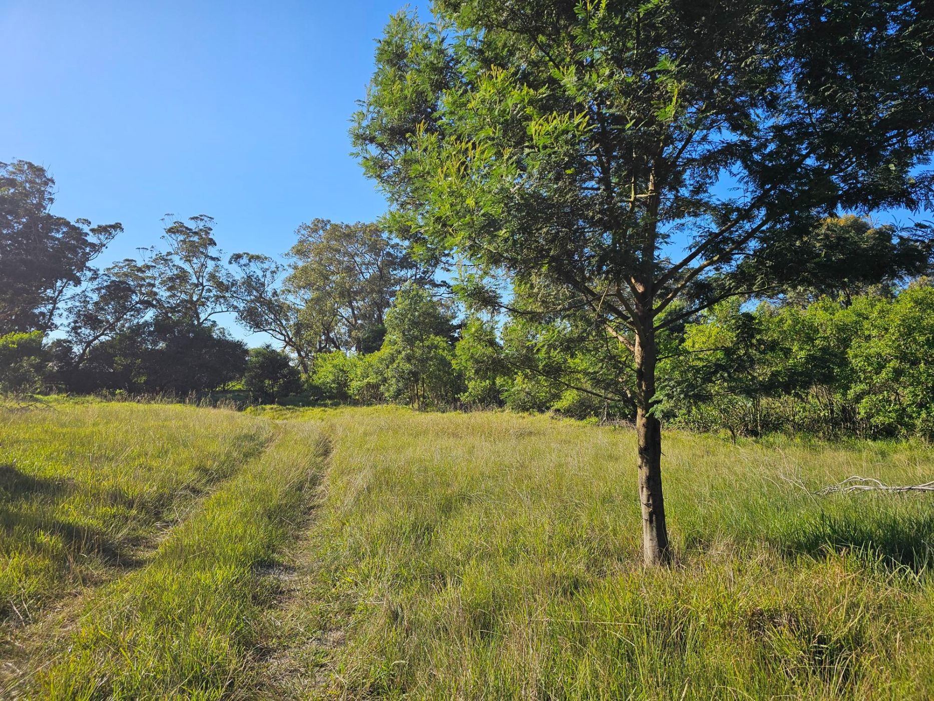 Smallholding for sale in Theescombe - 1PLZ1742448