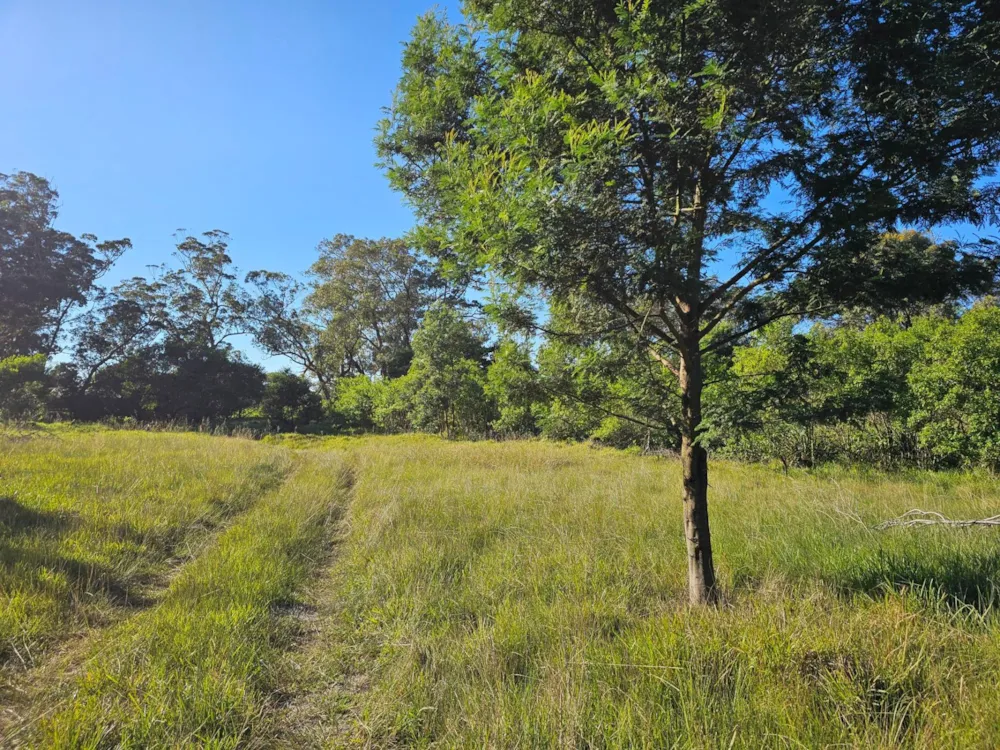 Smallholding for sale in Theescombe - 1PLZ1742448