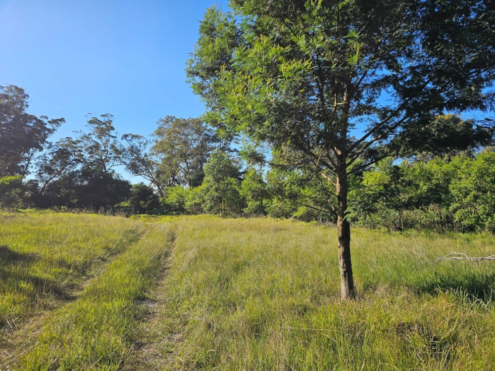 Smallholding for sale in Theescombe - 1PLZ1742448