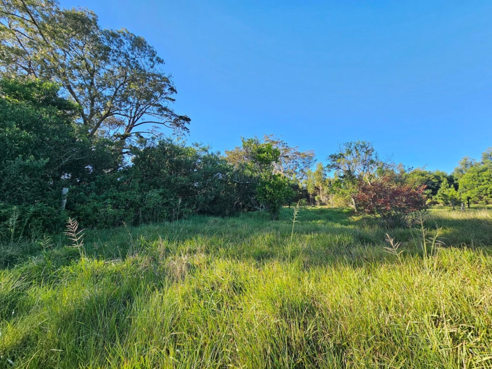 Smallholding for sale in Theescombe - 1PLZ1742448