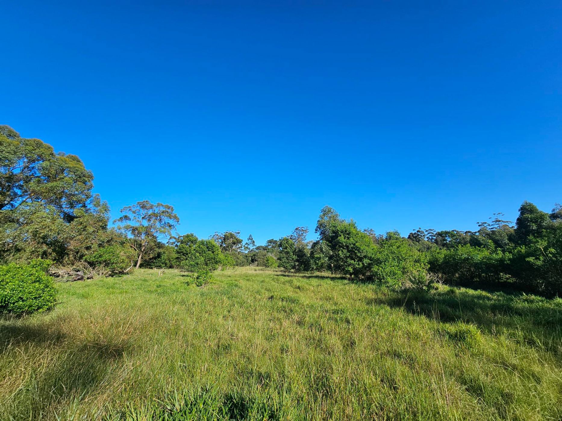 Smallholding for sale in Theescombe - 1PLZ1742448
