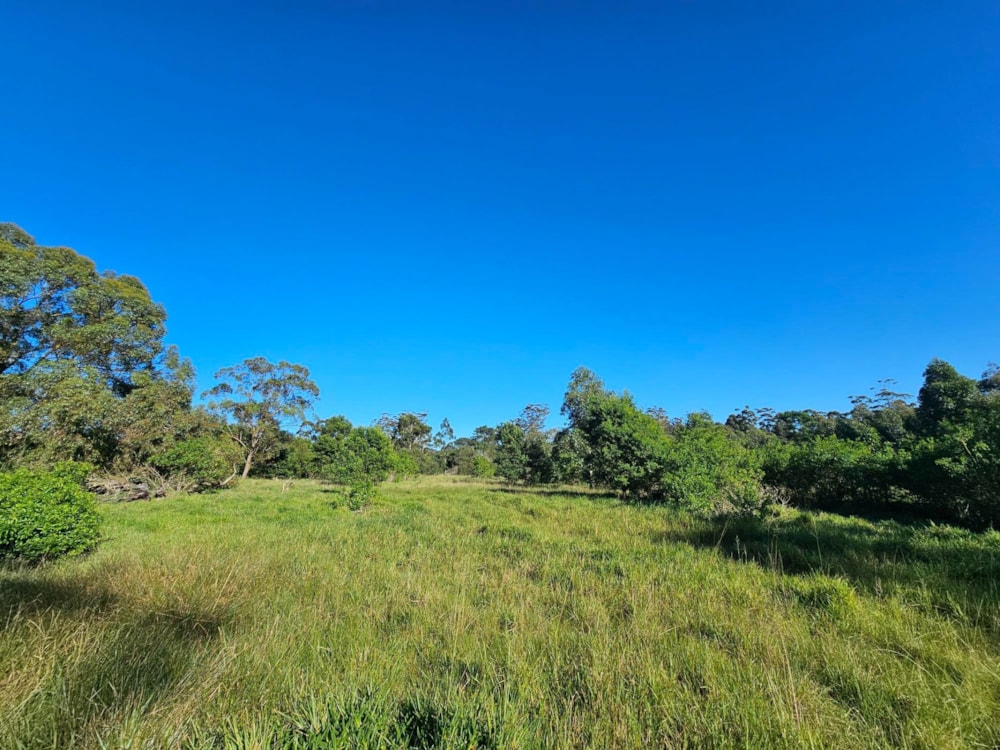 Smallholding for sale in Theescombe - 1PLZ1742448