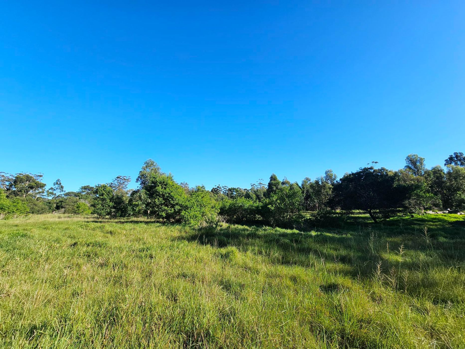 Smallholding for sale in Theescombe - 1PLZ1742448
