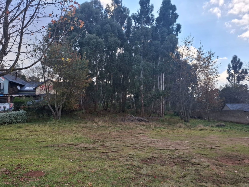 Vacant land for sale in Dullstroom - 1DS1741823