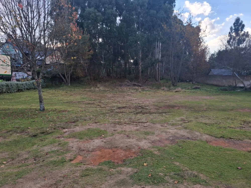 Vacant land for sale in Dullstroom - 1DS1741823