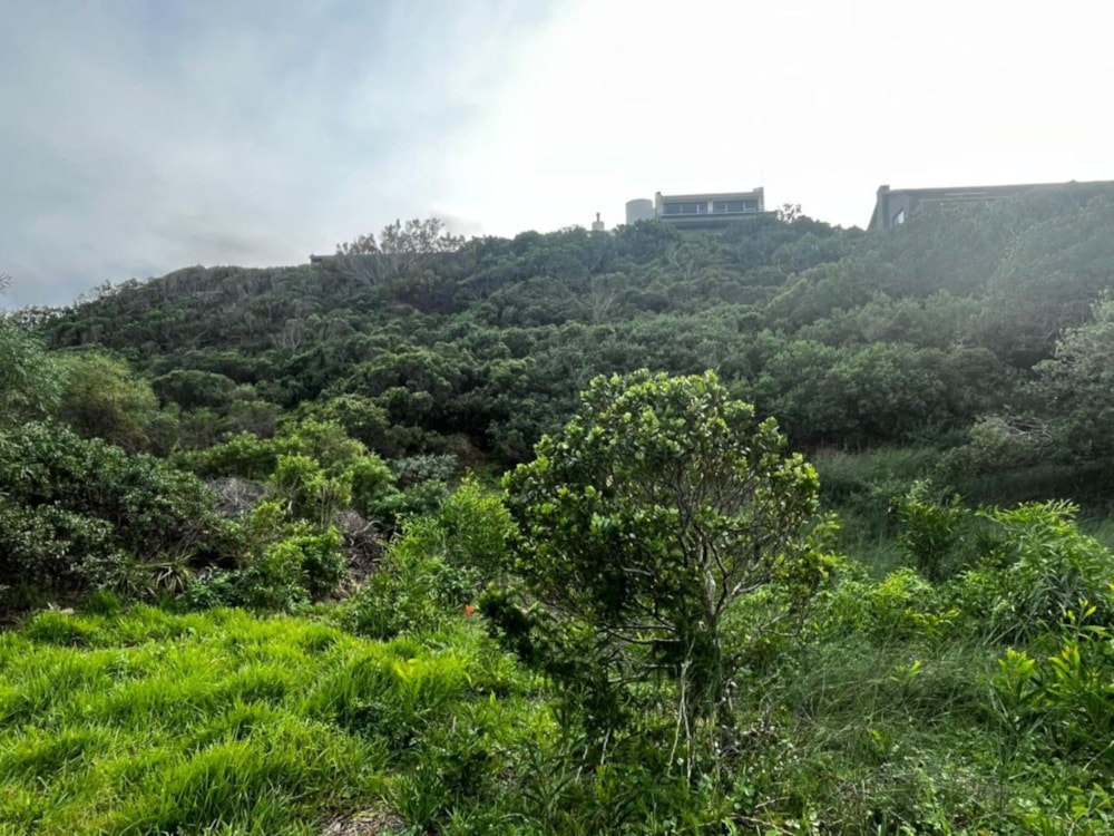 Vacant land for sale in Oyster Bay, Eastern Cape - 1SA1741765 Vacant land for sale in Oyster Bay, Eastern Cape - 1SA1741765