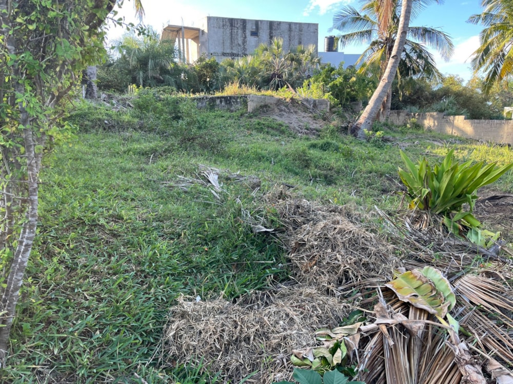 Vacant land for investment in Tofo, Mozambique - 3MQ1741796 Vacant land for investment in Tofo, Mozambique - 3MQ1741796