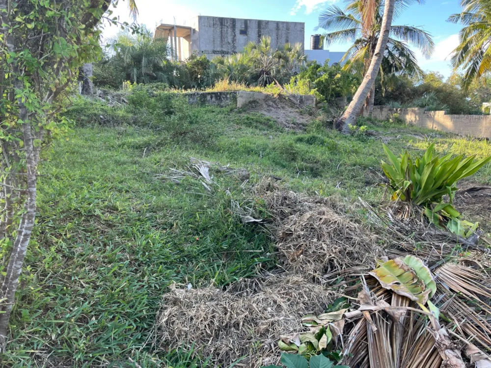 Vacant land for investment in Tofo, Mozambique - 3MQ1741796 Vacant land for investment in Tofo, Mozambique - 3MQ1741796