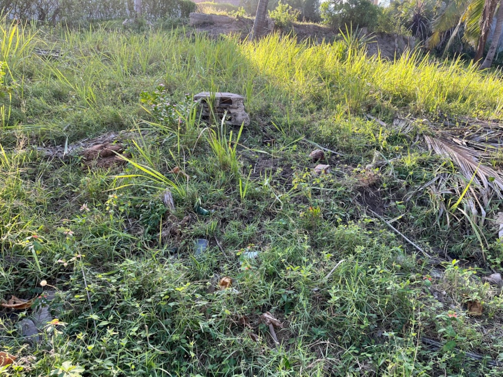 Vacant land for investment in Tofo, Mozambique - 3MQ1741796 Vacant land for investment in Tofo, Mozambique - 3MQ1741796