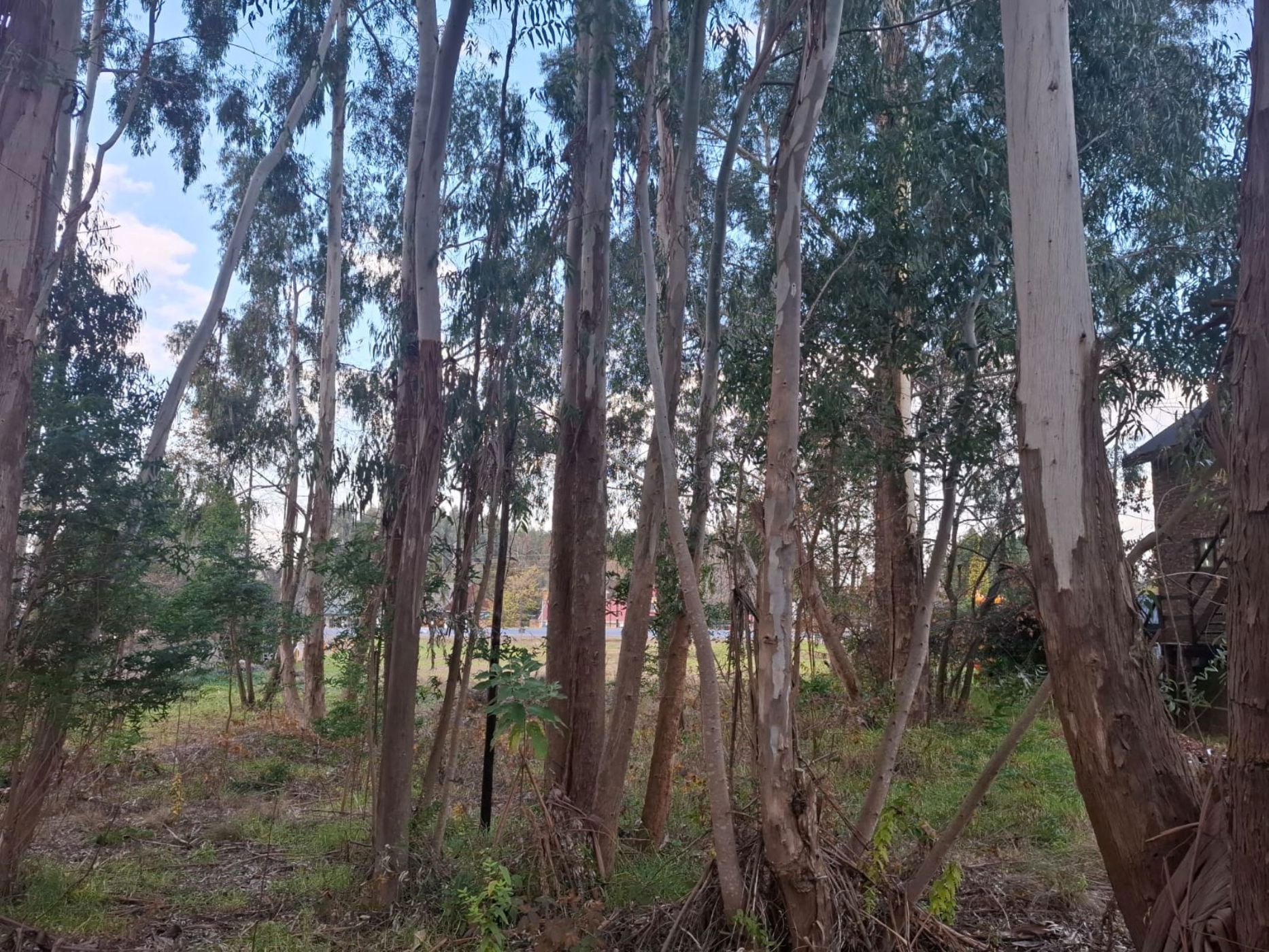 Vacant land for sale in Dullstroom - 1DS1741822
