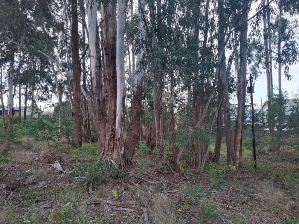 Vacant land for sale in Dullstroom - 1DS1741822 Vacant land for sale in Dullstroom - 1DS1741822