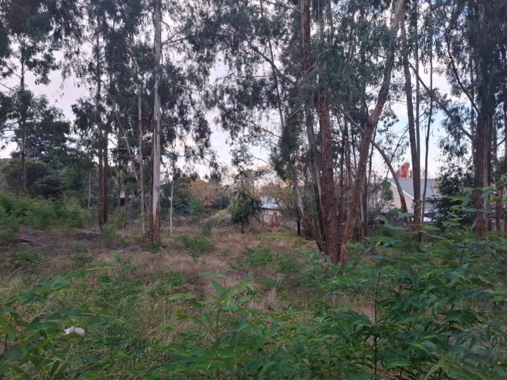 Vacant land for sale in Dullstroom - 1DS1741822 Vacant land for sale in Dullstroom - 1DS1741822