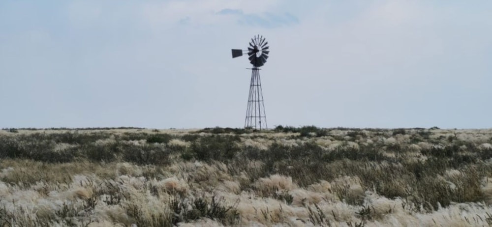 Livestock farm for sale in Marydale - 1KAH1741866