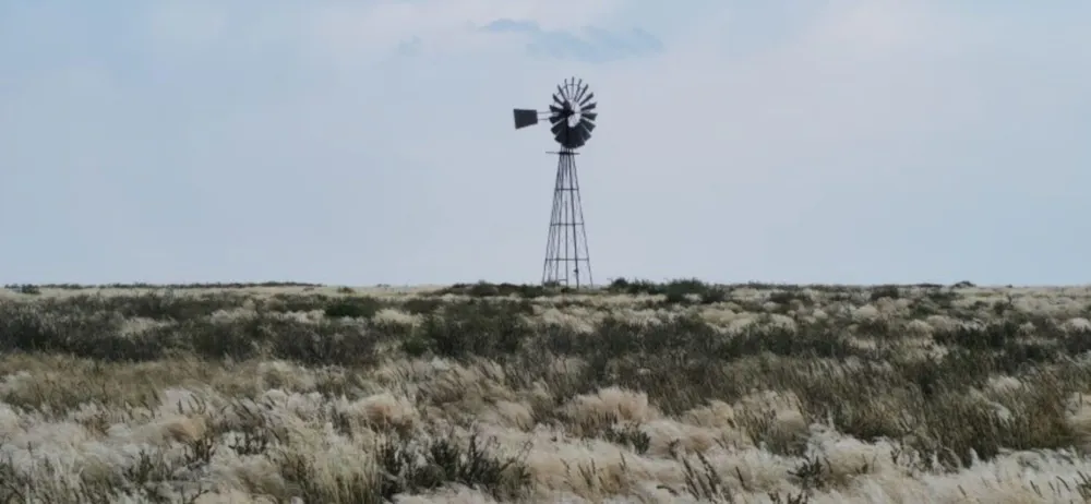Livestock farm for sale in Marydale - 1KAH1741866 Livestock farm for sale in Marydale - 1KAH1741866