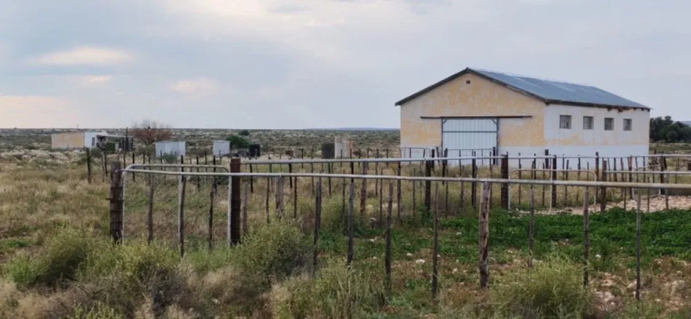 Livestock farm for sale in Marydale - 1KAH1741866 Livestock farm for sale in Marydale - 1KAH1741866