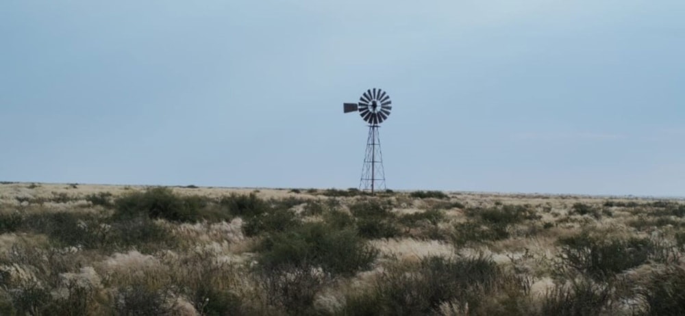 Livestock farm for sale in Marydale - 1KAH1741866
