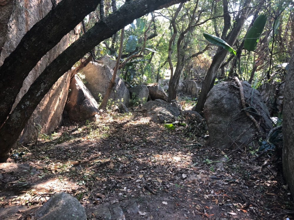 Vacant land for sale in Mbombela Ext 5 (Nelspruit Ext 5) - 1NS1742088