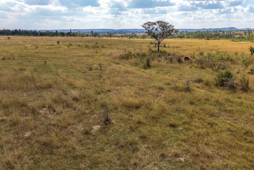 Farm vacant land for sale in Nyabira, Mashonaland West, Zimbabwe - 3ZB1741997