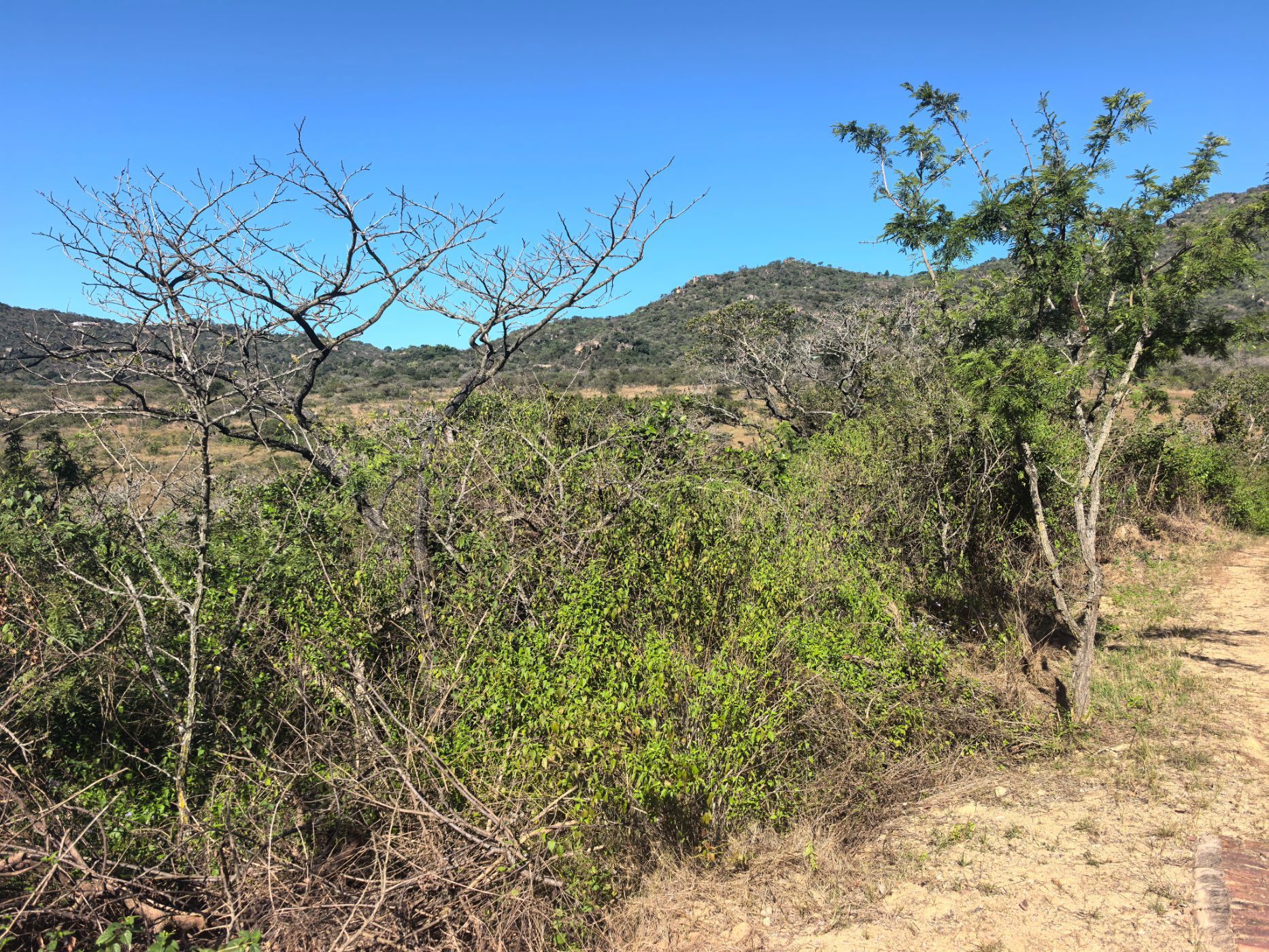 Farm vacant land for sale in Mbombela Rural (Nelspruit Rural) - 1NS1742292