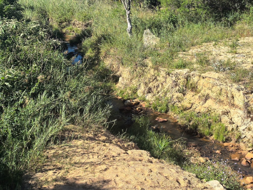 Farm vacant land for sale in Mbombela Rural (Nelspruit Rural) - 1NS1742292 Farm vacant land for sale in Mbombela Rural (Nelspruit Rural) - 1NS1742292