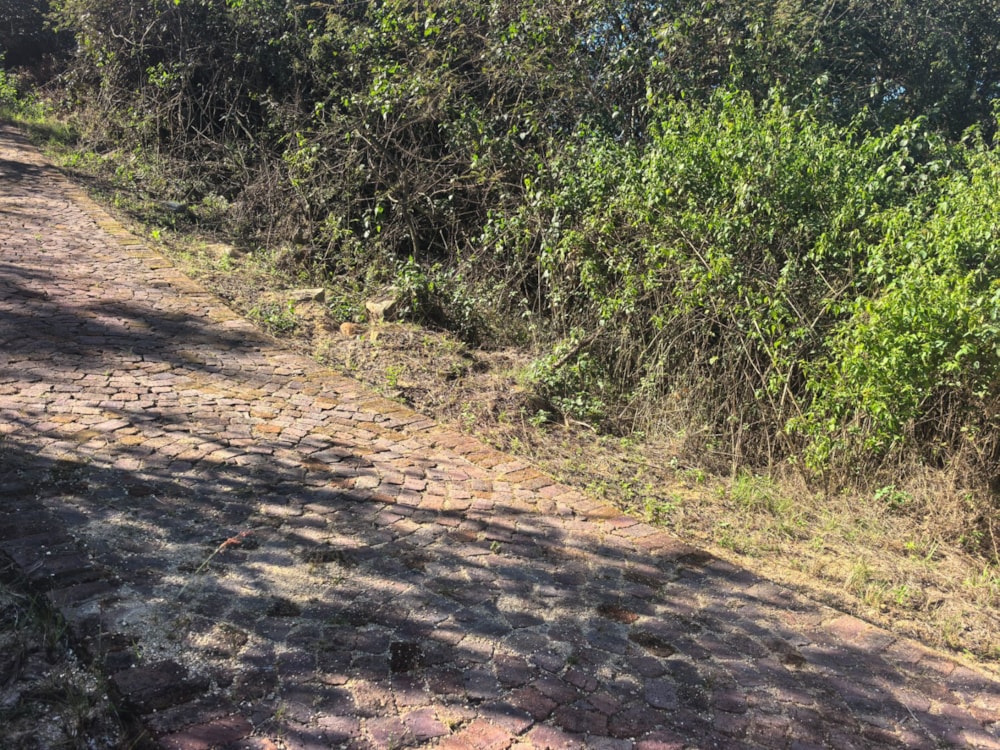 Farm vacant land for sale in Mbombela Rural (Nelspruit Rural) - 1NS1742292 Farm vacant land for sale in Mbombela Rural (Nelspruit Rural) - 1NS1742292