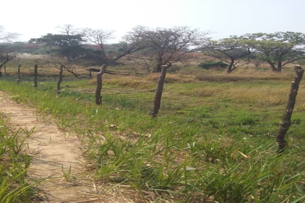 Vacant land for sale in North Western Province, Zambia - 3ZA1742204 Vacant land for sale in North Western Province, Zambia - 3ZA1742204
