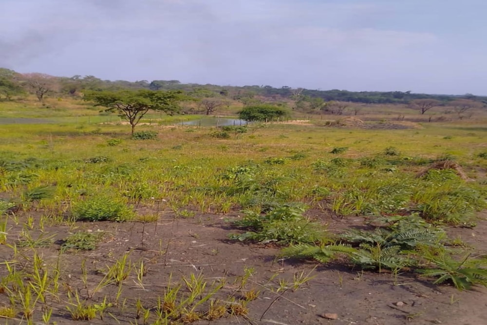 Vacant land for sale in North Western Province, Zambia - 3ZA1742204 Vacant land for sale in North Western Province, Zambia - 3ZA1742204