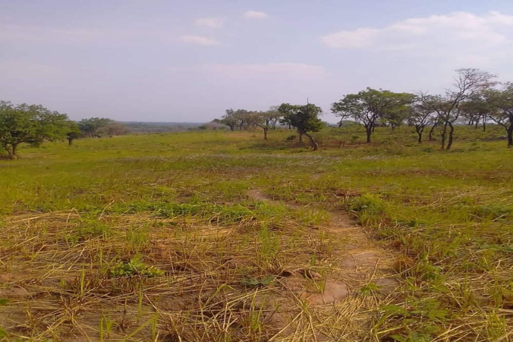 Vacant land for sale in North Western Province, Zambia - 3ZA1742204 Vacant land for sale in North Western Province, Zambia - 3ZA1742204