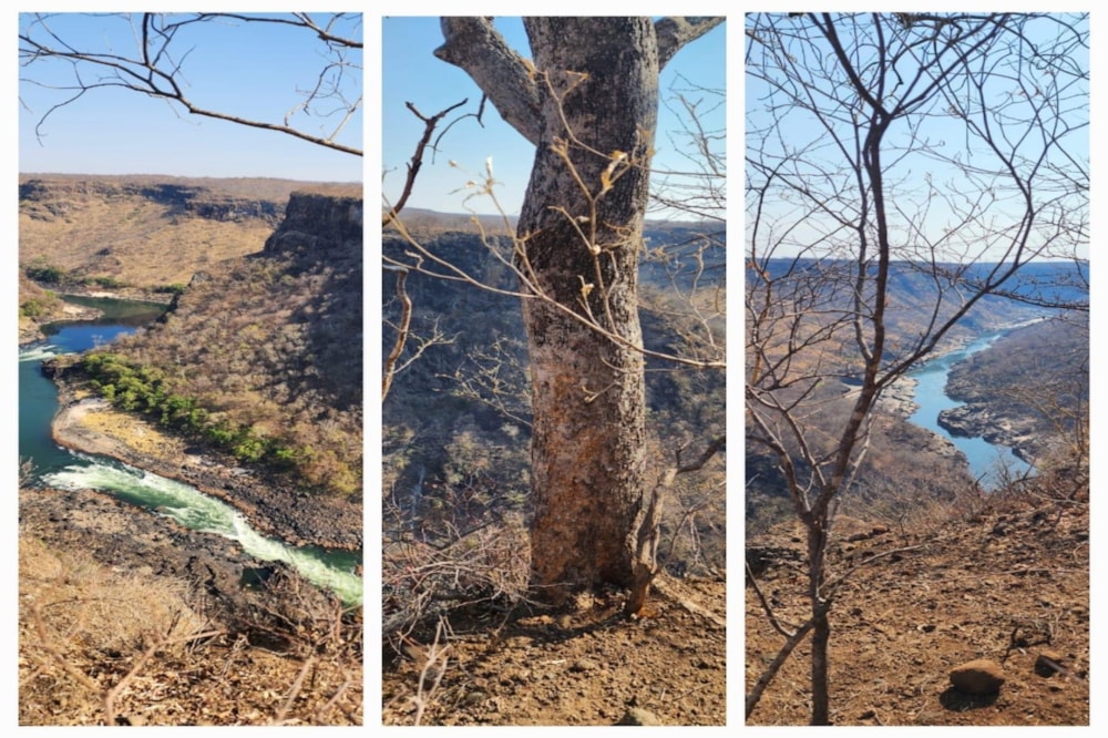 Commercial vacant land for sale in Victoria Falls, Zimbabwe - 3ZB1742295 Commercial vacant land for sale in Victoria Falls, Zimbabwe - 3ZB1742295