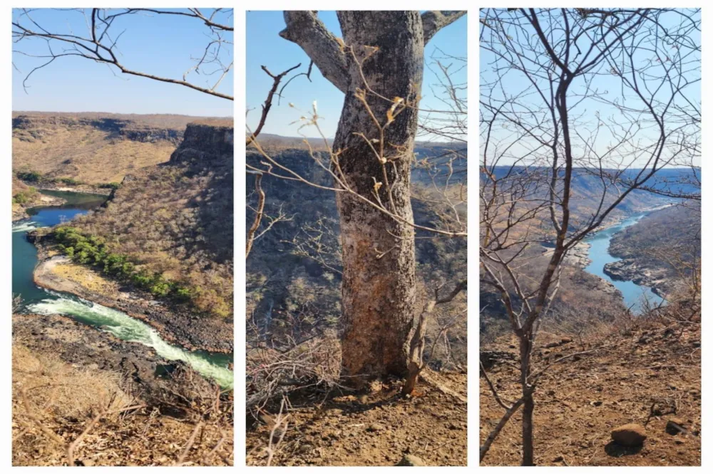 Commercial vacant land for sale in Victoria Falls, Zimbabwe - 3ZB1742295 Commercial vacant land for sale in Victoria Falls, Zimbabwe - 3ZB1742295