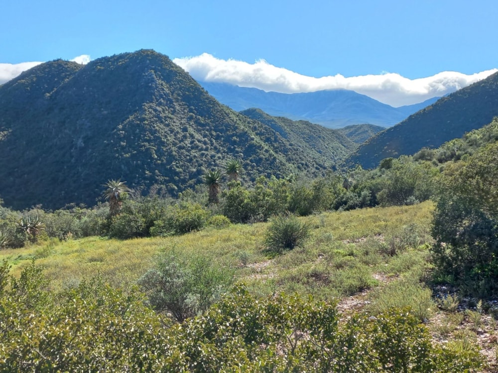 Farm vacant land for sale in Calitzdorp - 1OU1742523