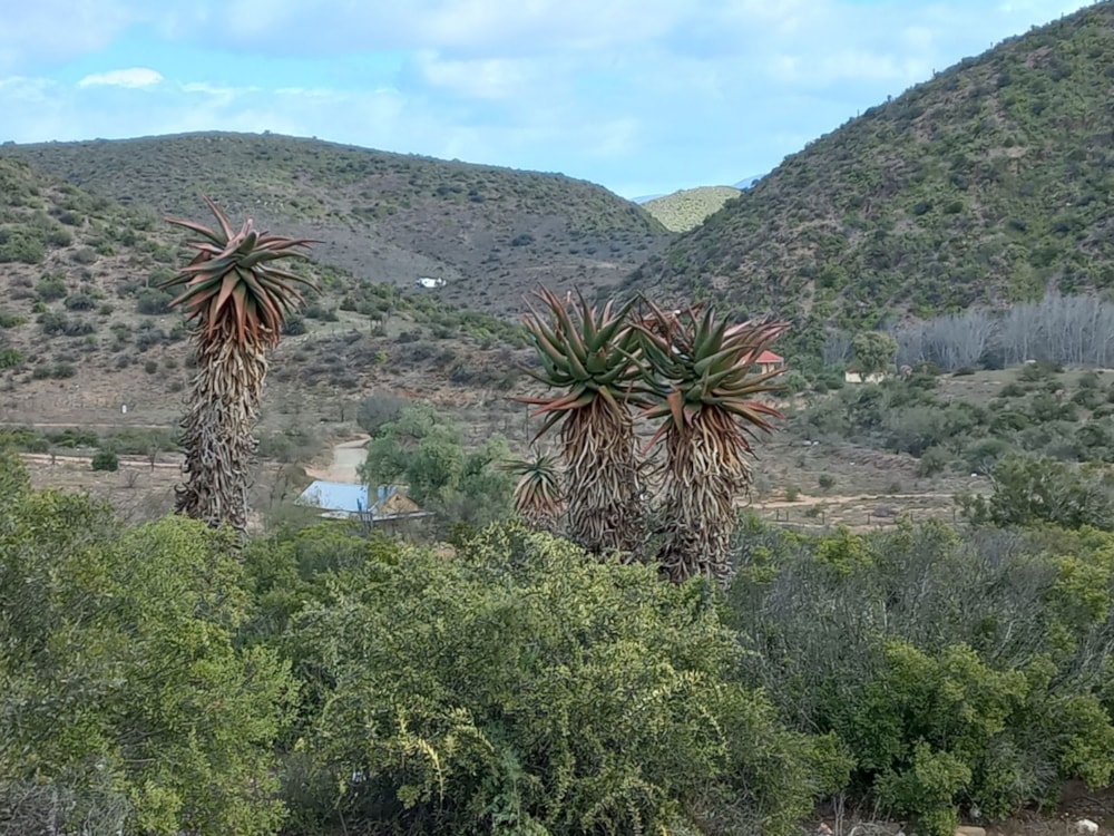 Farm vacant land for sale in Calitzdorp - 1OU1742523