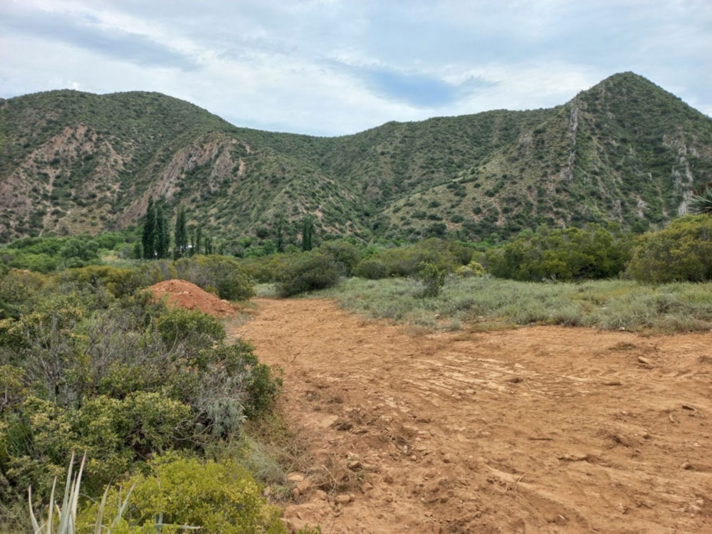 Farm vacant land for sale in Calitzdorp - 1OU1742523