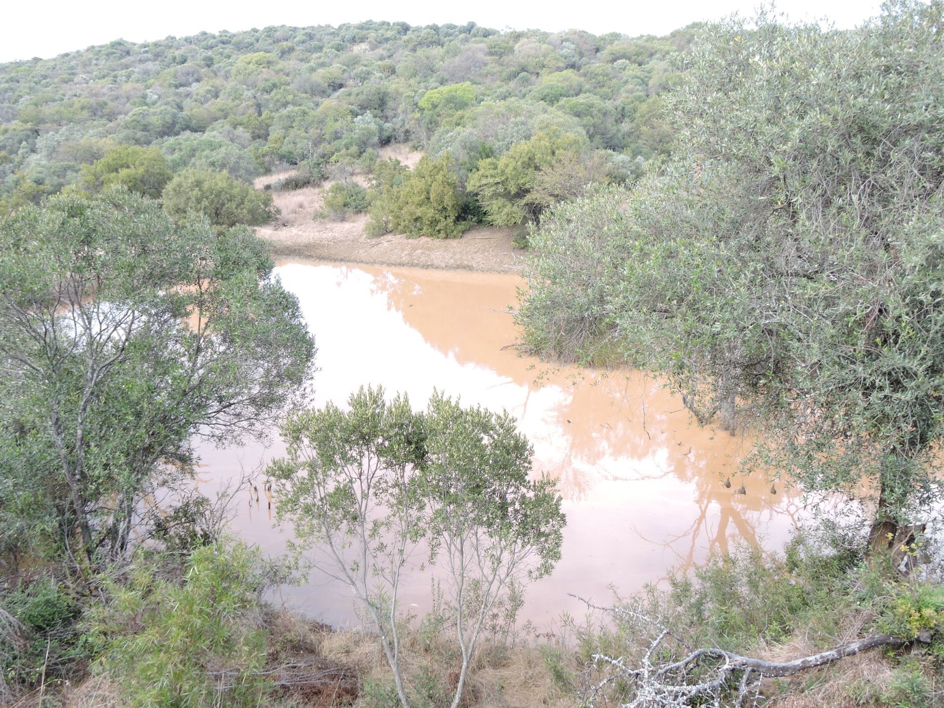 Game farm for sale in Rustenburg North - 1RU1742950