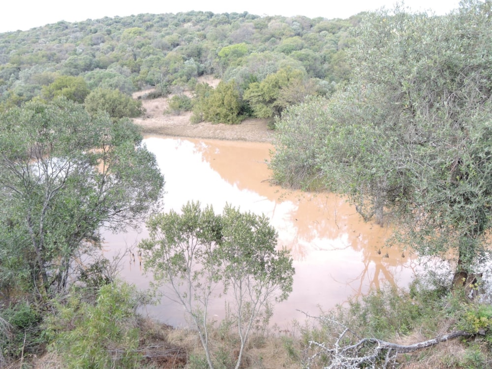 Game farm for sale in Rustenburg North - 1RU1742950