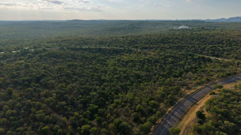 Vacant land for sale in Elephant Rock Eco Estate - 1HS1742732 Vacant land for sale in Elephant Rock Eco Estate - 1HS1742732