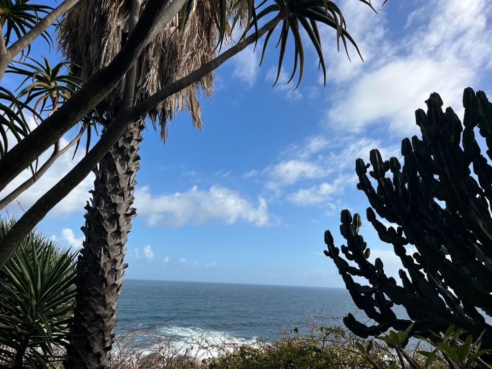 Bachelor apartment to rent in Llandudno - HYL1742883 Bachelor apartment to rent in Llandudno - HYL1742883