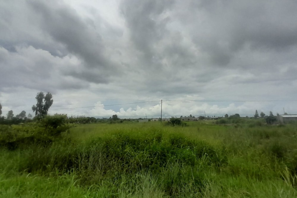 Vacant land for investment in Beira, Sofala, Mozambique - 3MQ1742971 Vacant land for investment in Beira, Sofala, Mozambique - 3MQ1742971