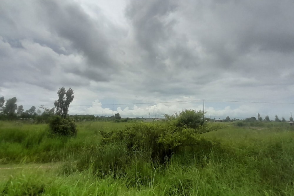 Vacant land for investment in Beira, Sofala, Mozambique - 3MQ1742971 Vacant land for investment in Beira, Sofala, Mozambique - 3MQ1742971