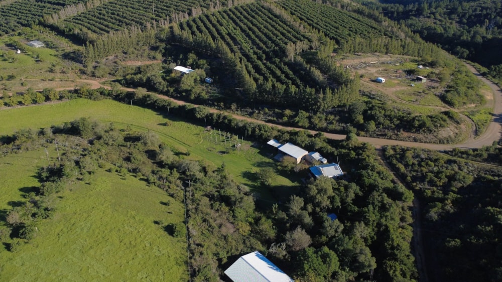 Smallholding for sale in Heidelberg, Garden Route - 1SW1743004 Smallholding for sale in Heidelberg, Garden Route - 1SW1743004