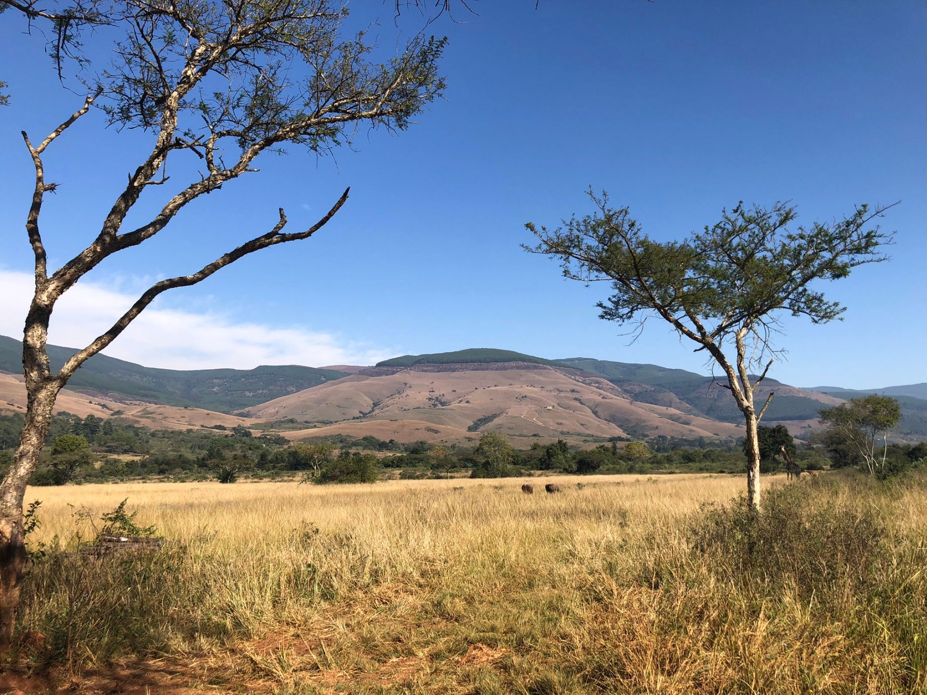 Lifestyle property for sale in Mbombela Rural (Nelspruit Rural) - 1NS1743157