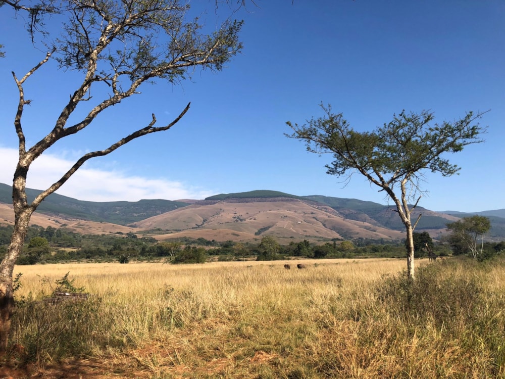 Lifestyle property for sale in Mbombela Rural (Nelspruit Rural) - 1NS1743157