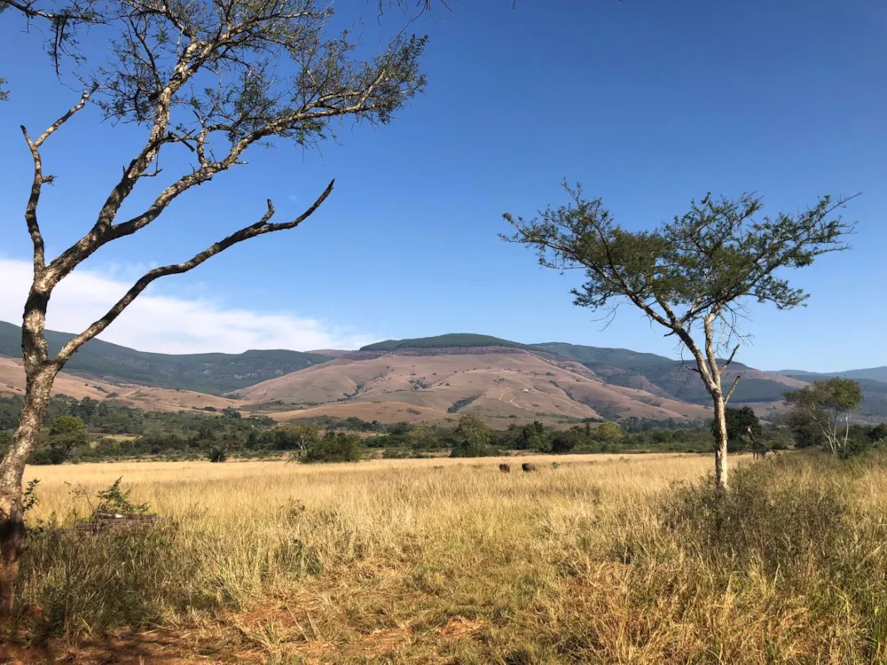 Lifestyle property for sale in Mbombela Rural (Nelspruit Rural) - 1NS1743157 Lifestyle property for sale in Mbombela Rural (Nelspruit Rural) - 1NS1743157