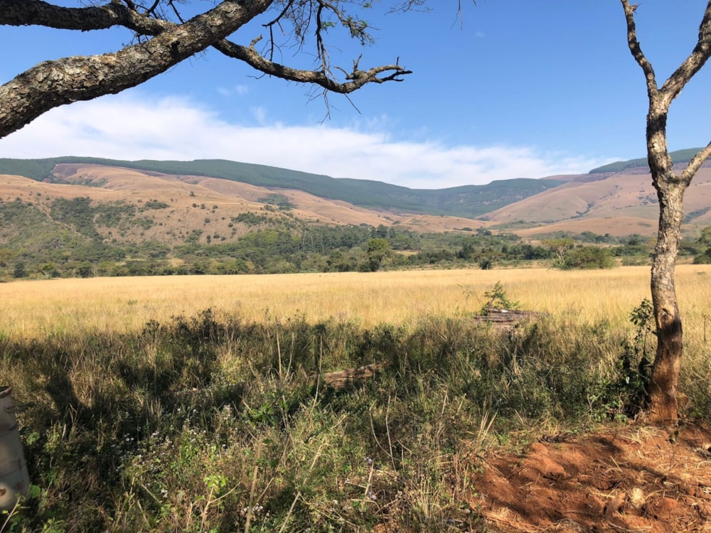 Lifestyle property for sale in Mbombela Rural (Nelspruit Rural) - 1NS1743157