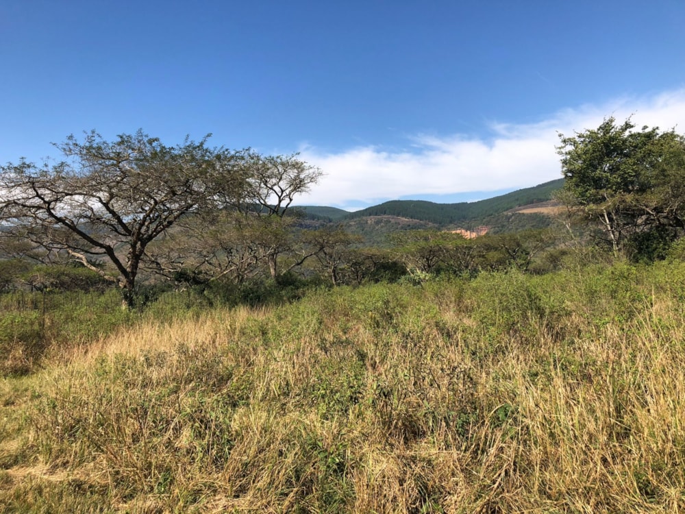 Lifestyle property for sale in Mbombela Rural (Nelspruit Rural) - 1NS1743157 Lifestyle property for sale in Mbombela Rural (Nelspruit Rural) - 1NS1743157