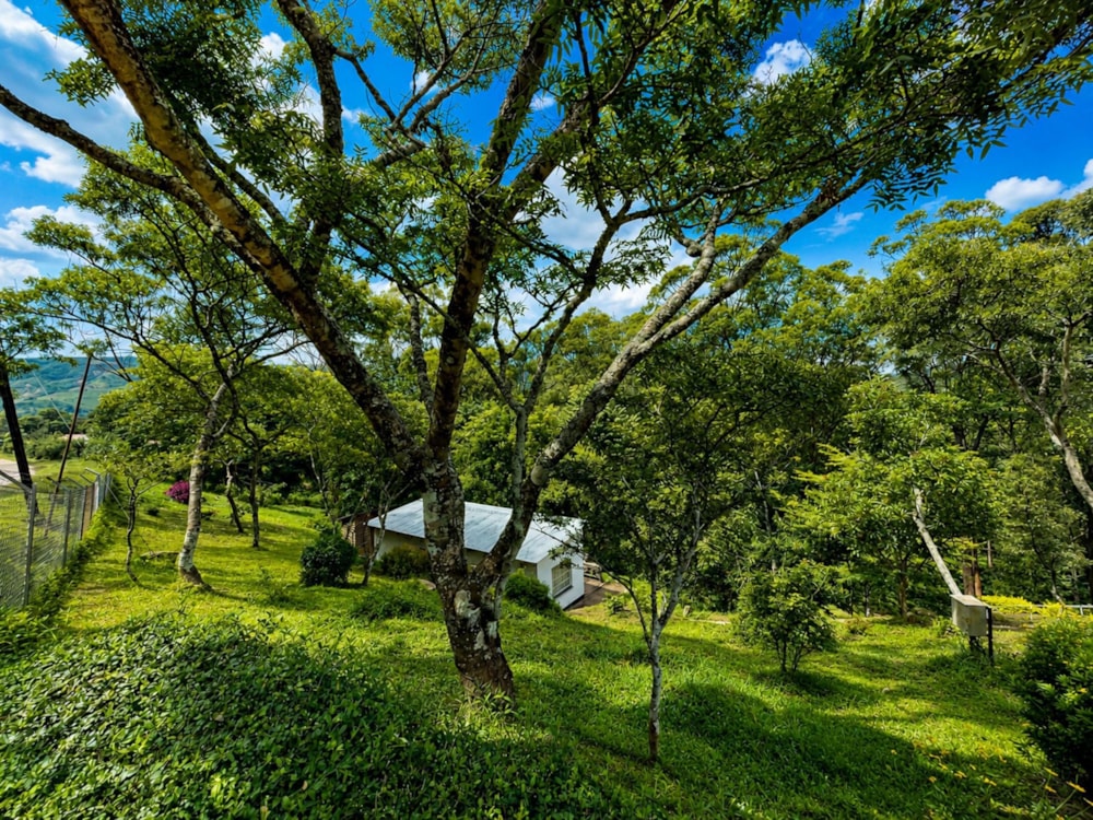House for sale in Manicaland, Zimbabwe - 3ZB1743198 House for sale in Manicaland, Zimbabwe - 3ZB1743198