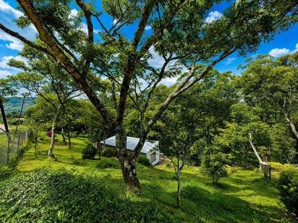 House for sale in Manicaland, Zimbabwe - 3ZB1743198 House for sale in Manicaland, Zimbabwe - 3ZB1743198