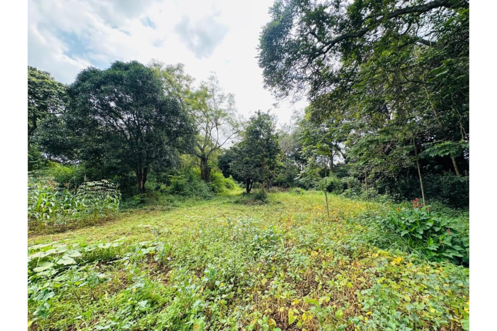 Residential vacant land for sale in Ridgeways, Kenya - 3KE1743278 Residential vacant land for sale in Ridgeways, Kenya - 3KE1743278